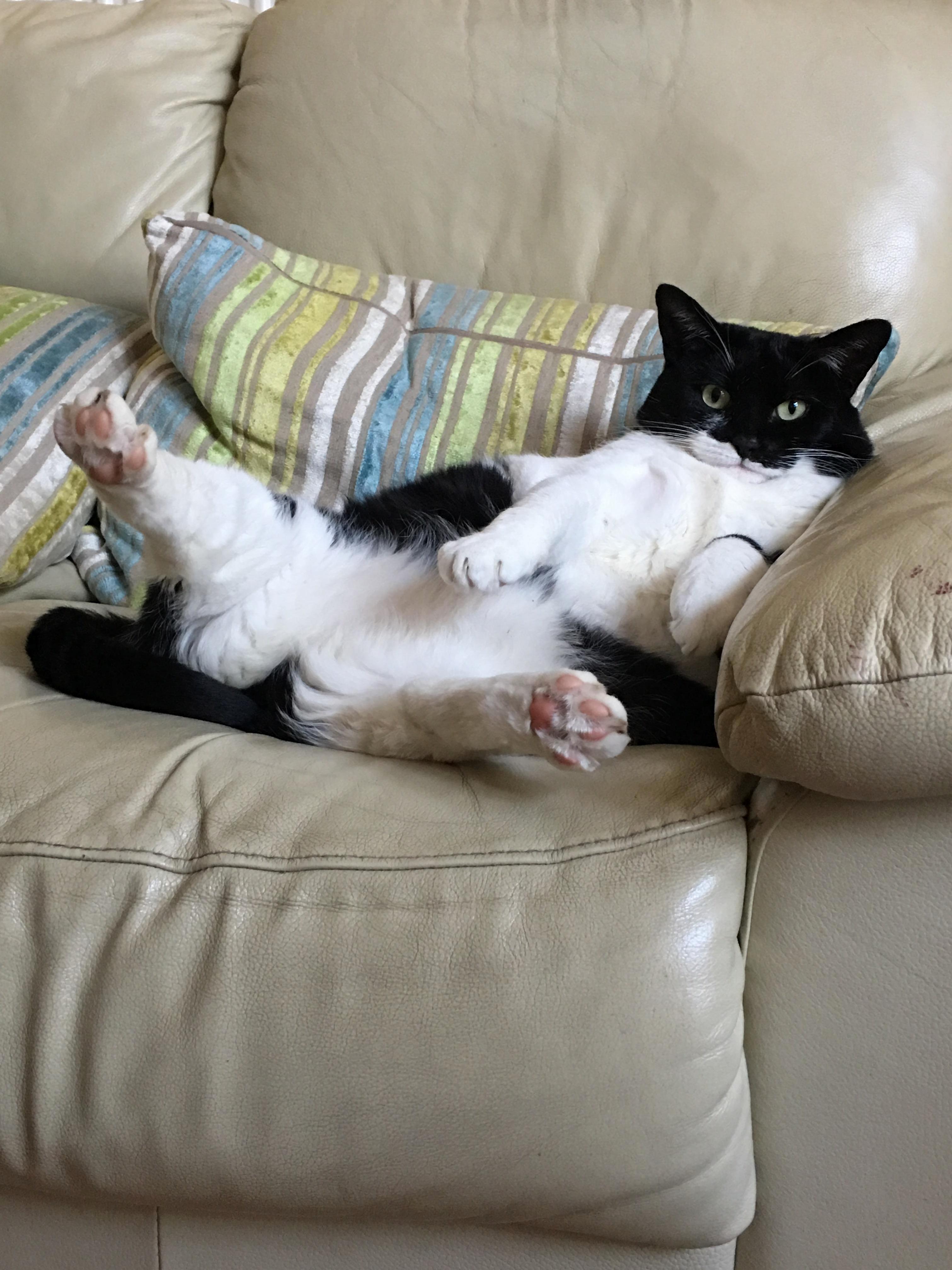 Comfy there