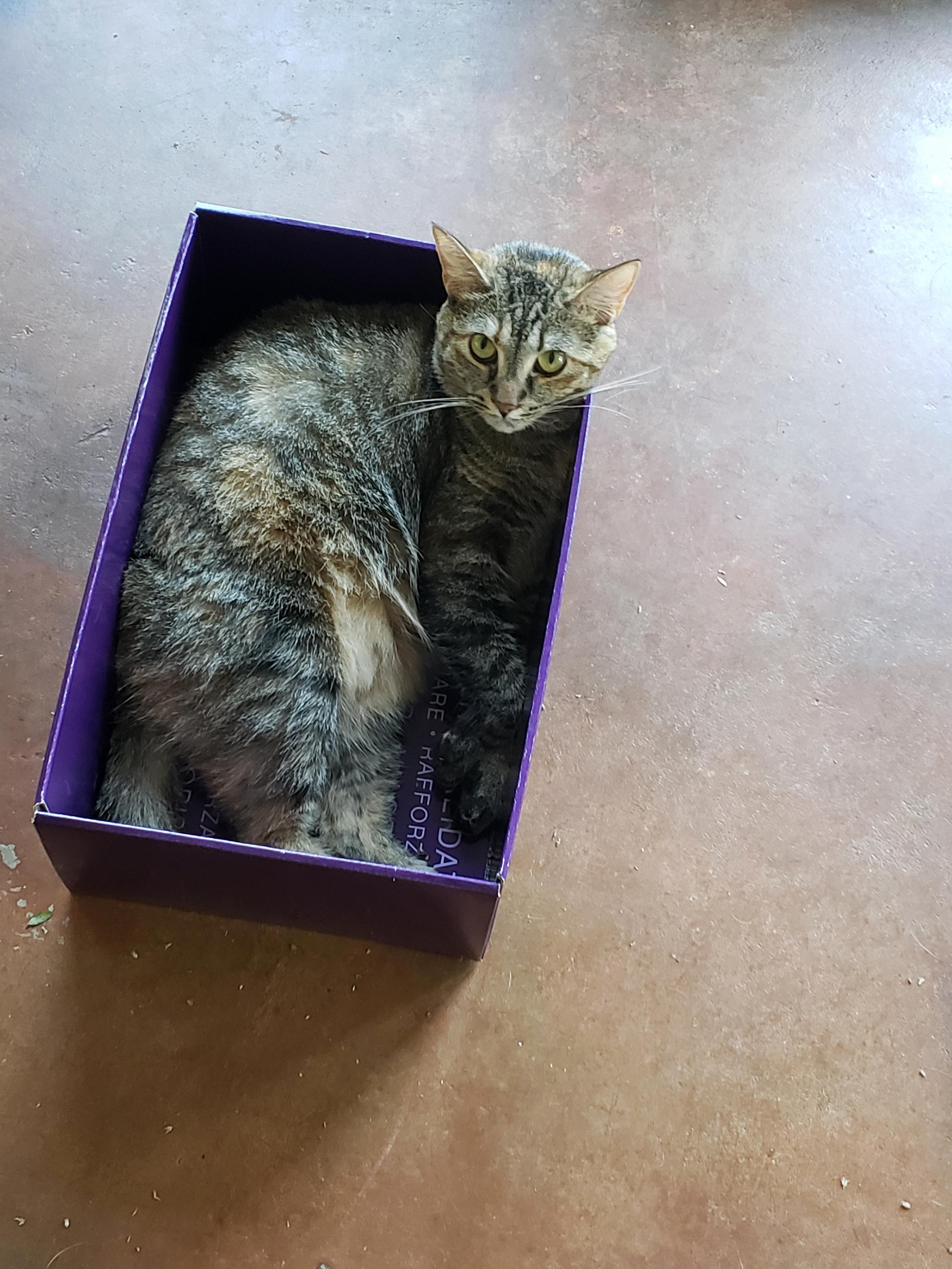 Her favorite box.