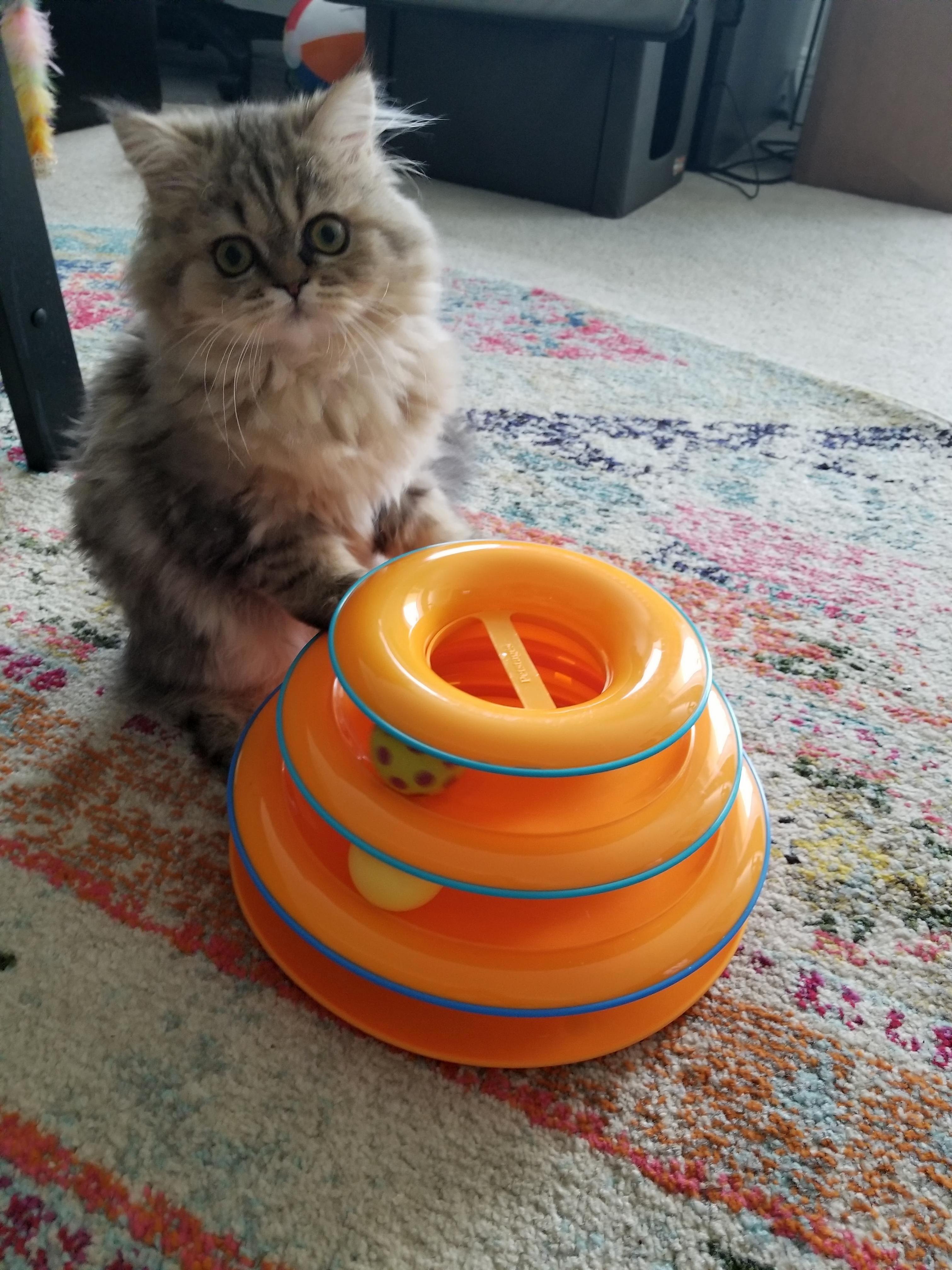 Proud of her new toy
