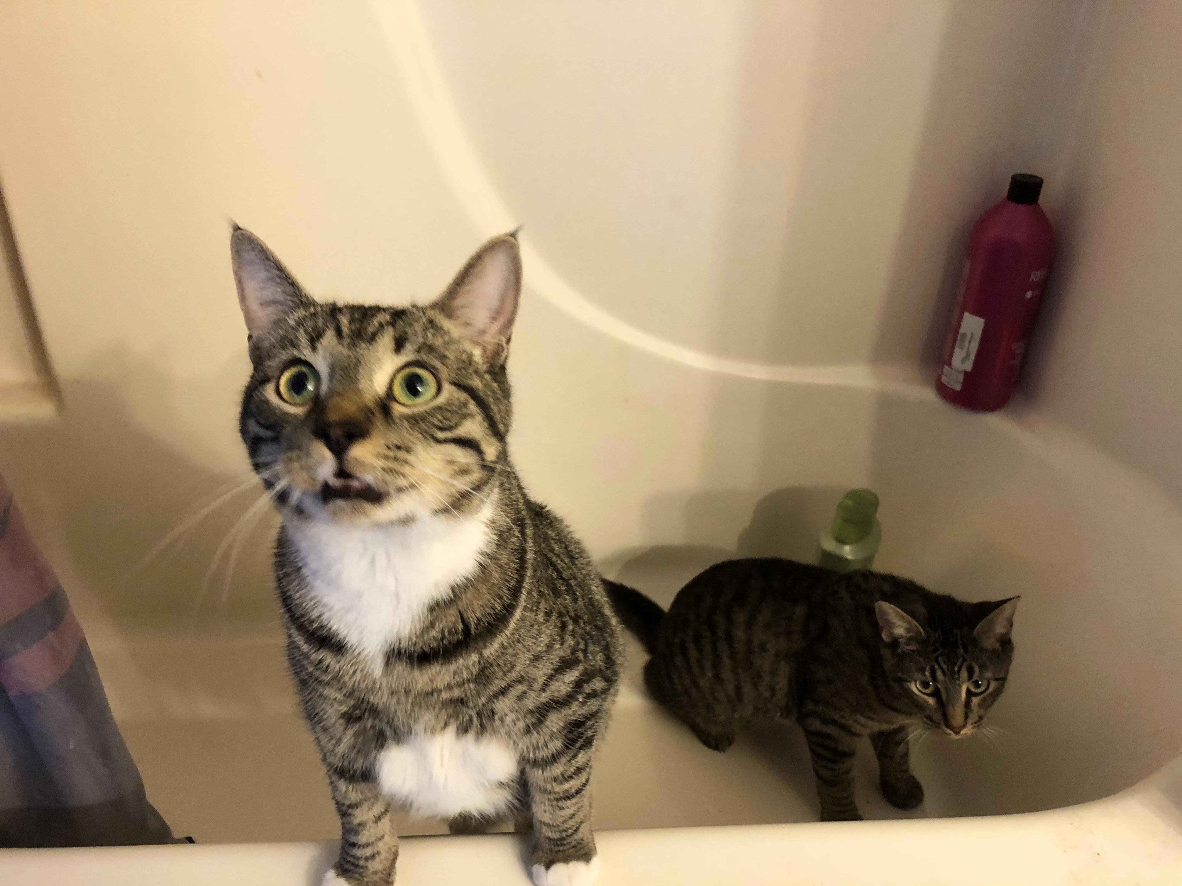 What do you mean bath time!