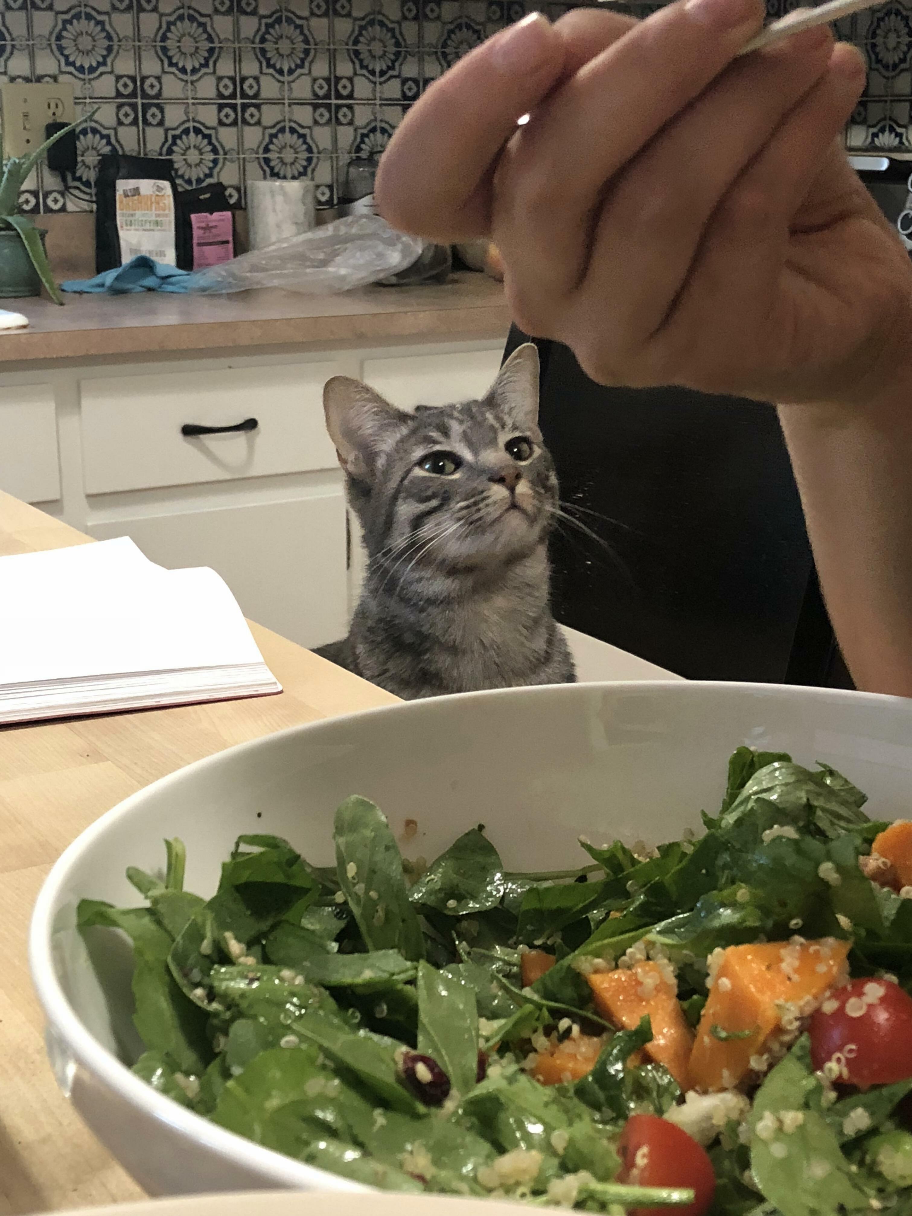 Can i have some