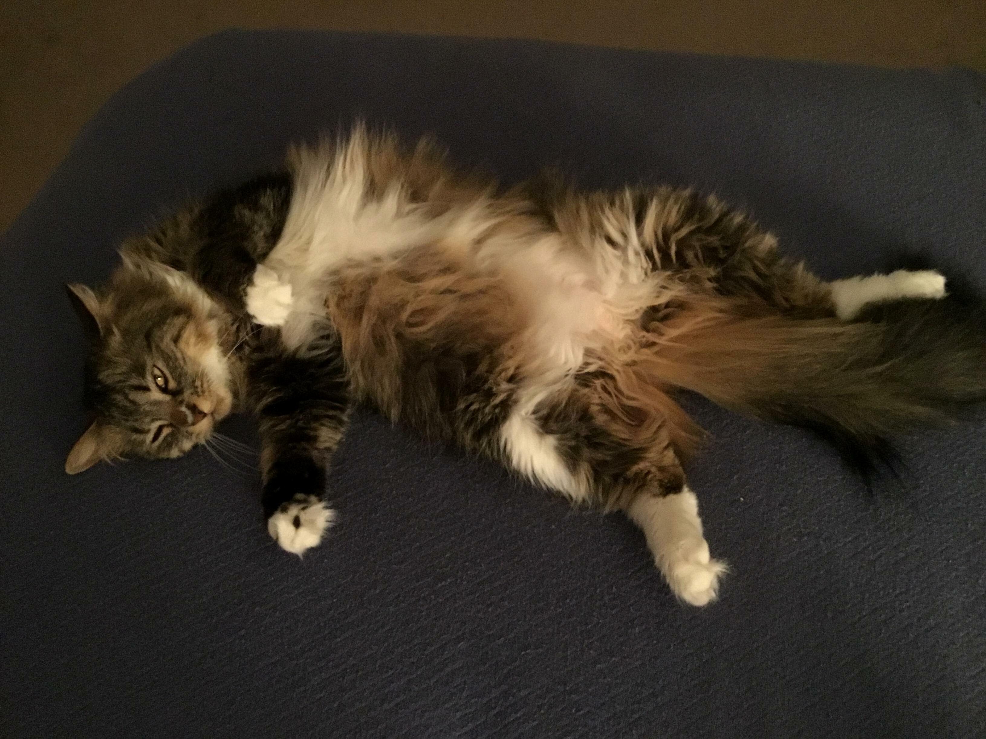 Gots to cool the belly……..
