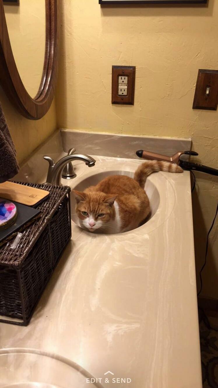 He really likes the sink