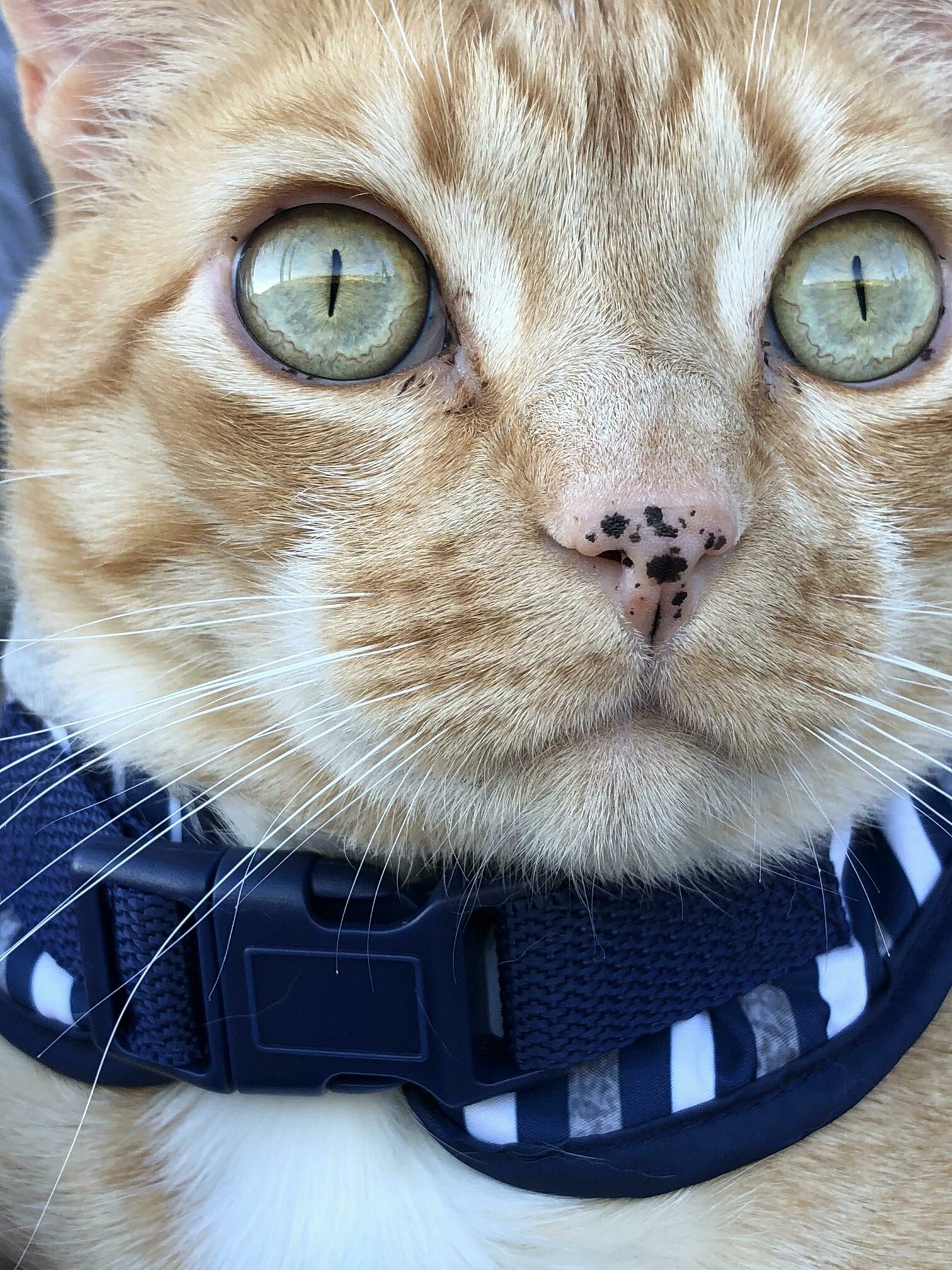 I cant get enough of his freckles and big green eyes.