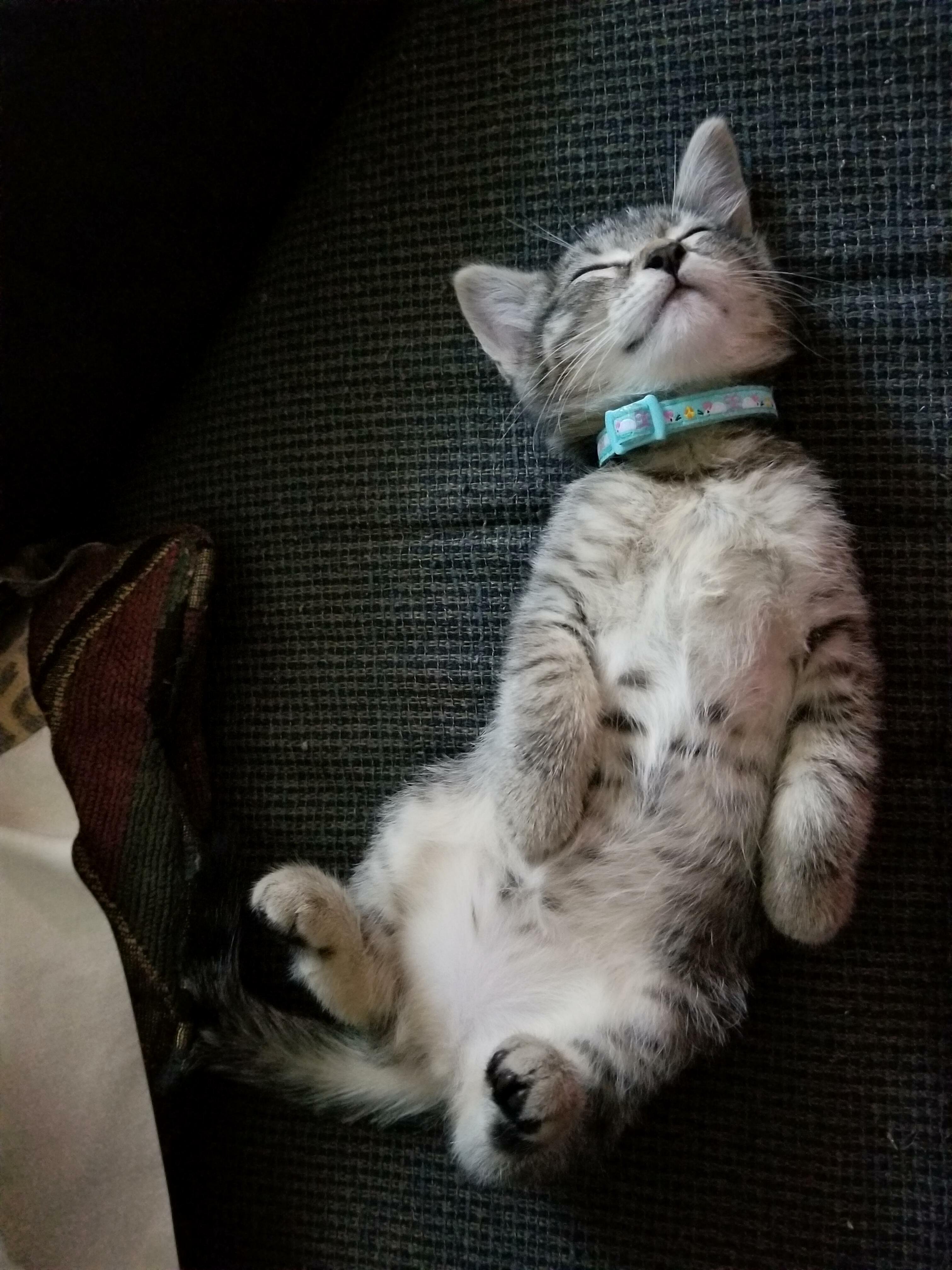 Minerva is exhausted after her first day at home