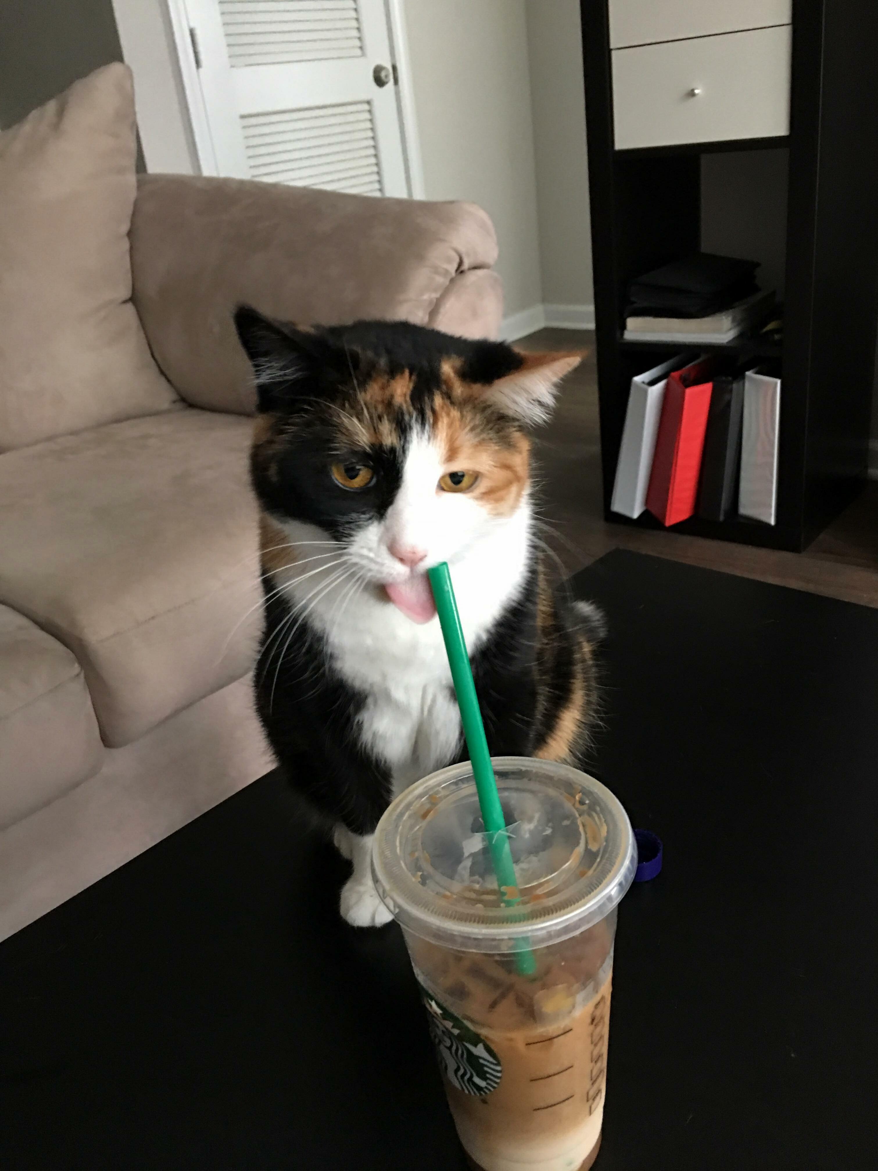 She wont let me talk to her until after coffee.