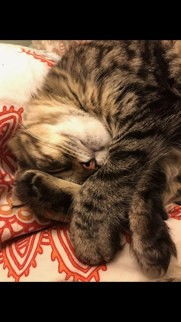 Sweet baby always sleeps with her feet near her face