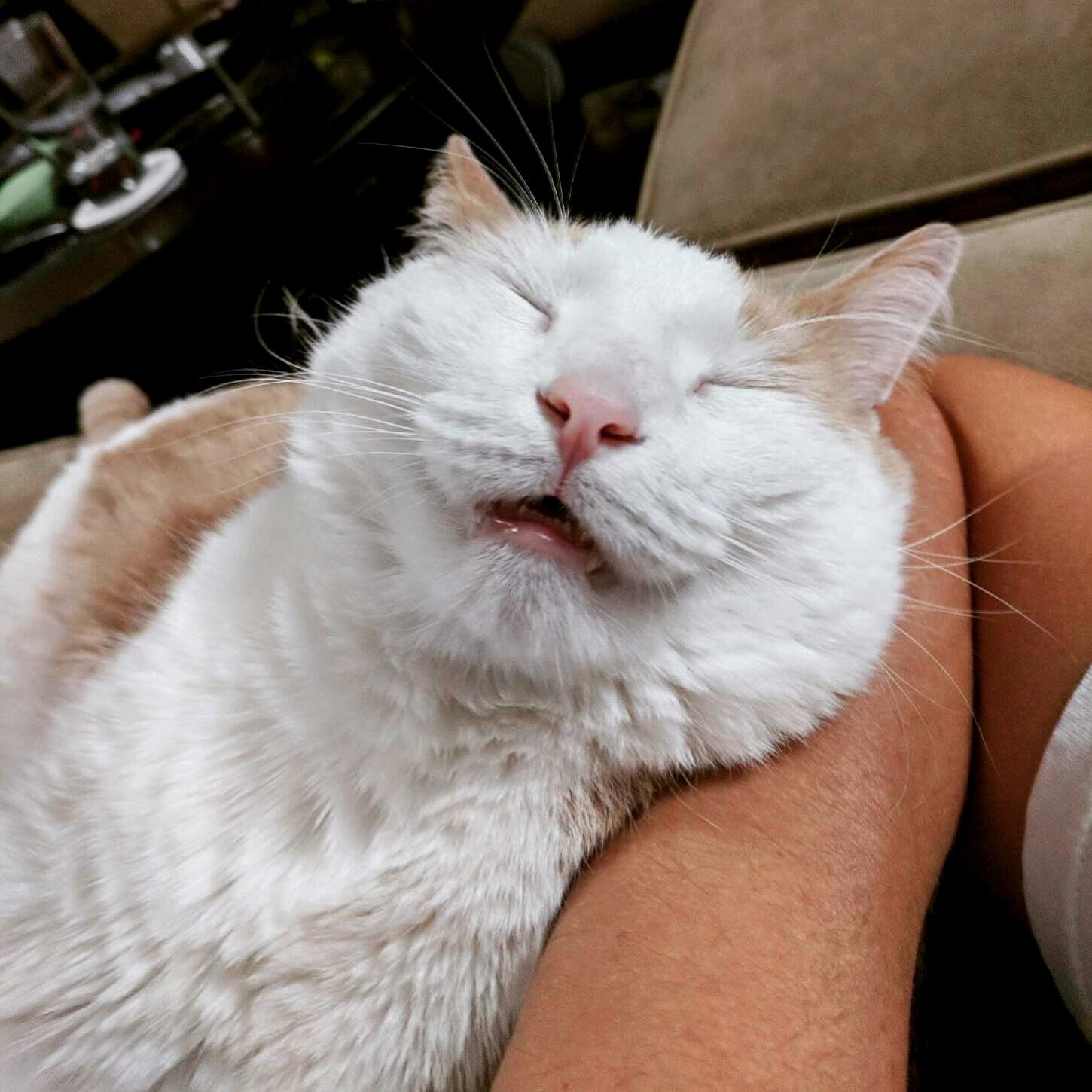The derpiest! 